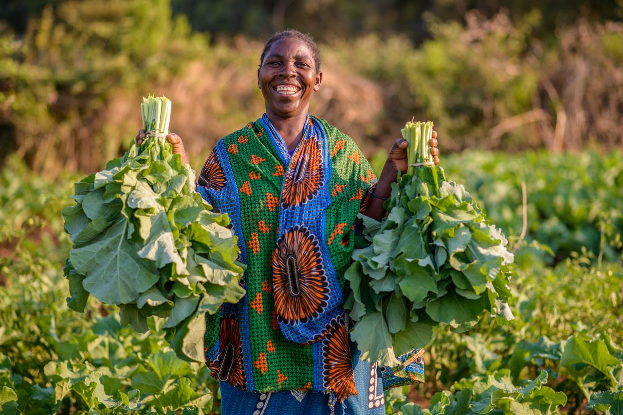 A farmer in a patterned green and orange chitenge smiles while holding up a large bunch of harvested leafy greens in each hand.