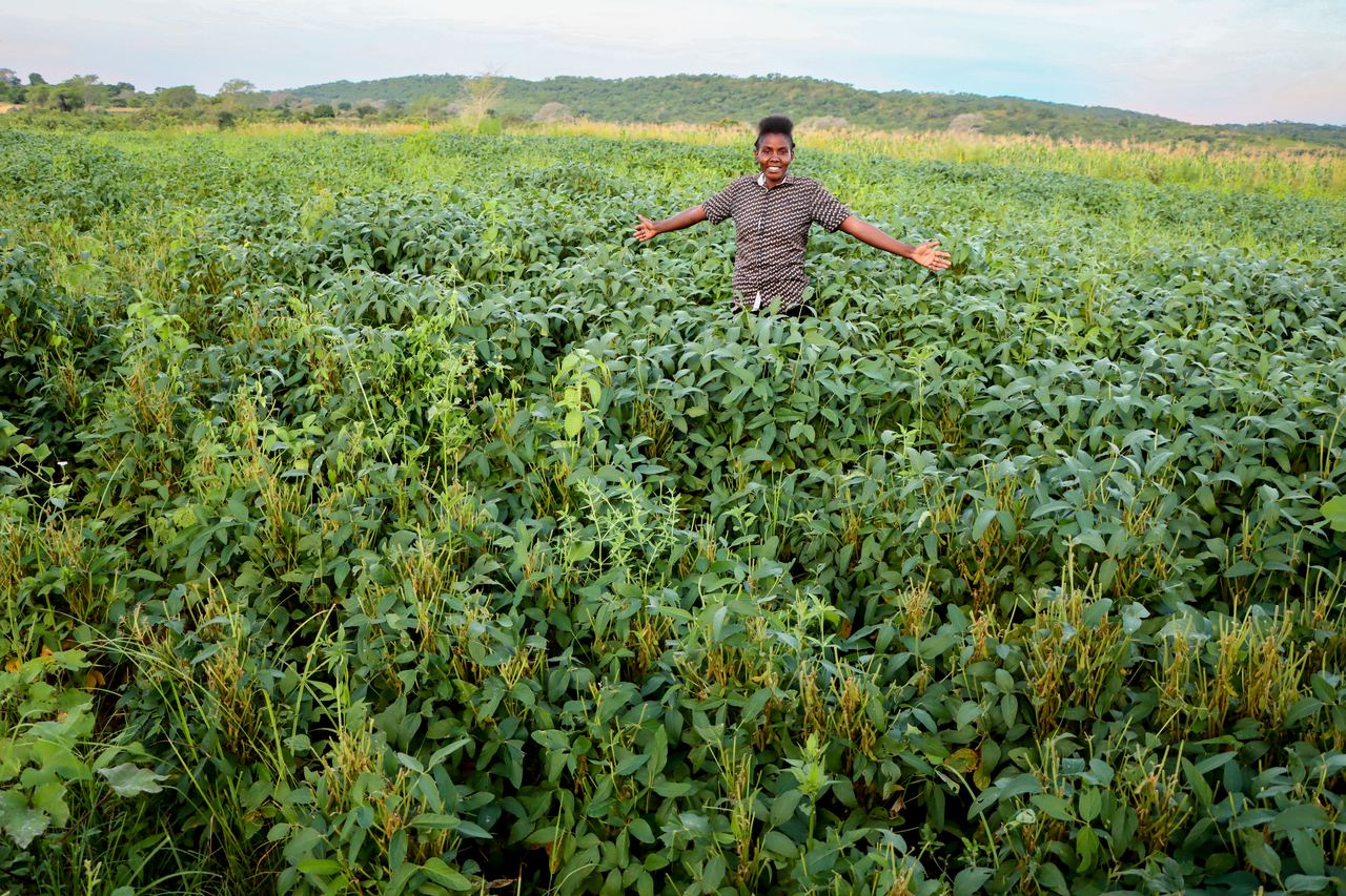 A farmer stands with arms outstretched in a soya field that reaches chest height, with hills on the horizon.